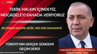 Cumhuriyet Halk Partisi İstanbul İl Başkanı Gürsel Tekin, Naime Akbin’in