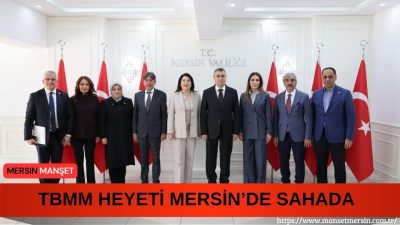 TBMM Dilekçe Komisyonu heyeti, Mersin’de Vali Atilla Toros’u ziyaret ederek