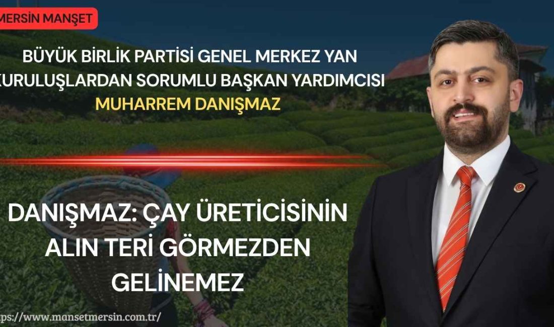 Büyük Birlik Partisi Genel Merkez Yan Kuruluşlardan Sorumlu Başkan Yardımcısı