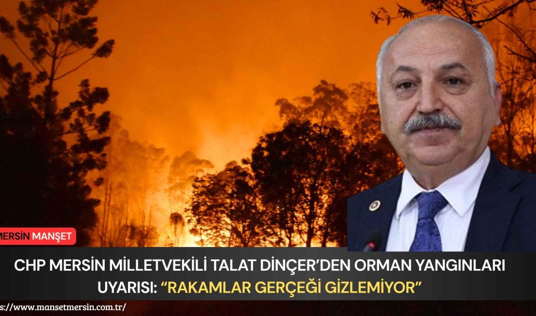 CHP Mersin Milletvekili Talat Dinçer, Türkiye’de artan orman yangınlarına ilişkin