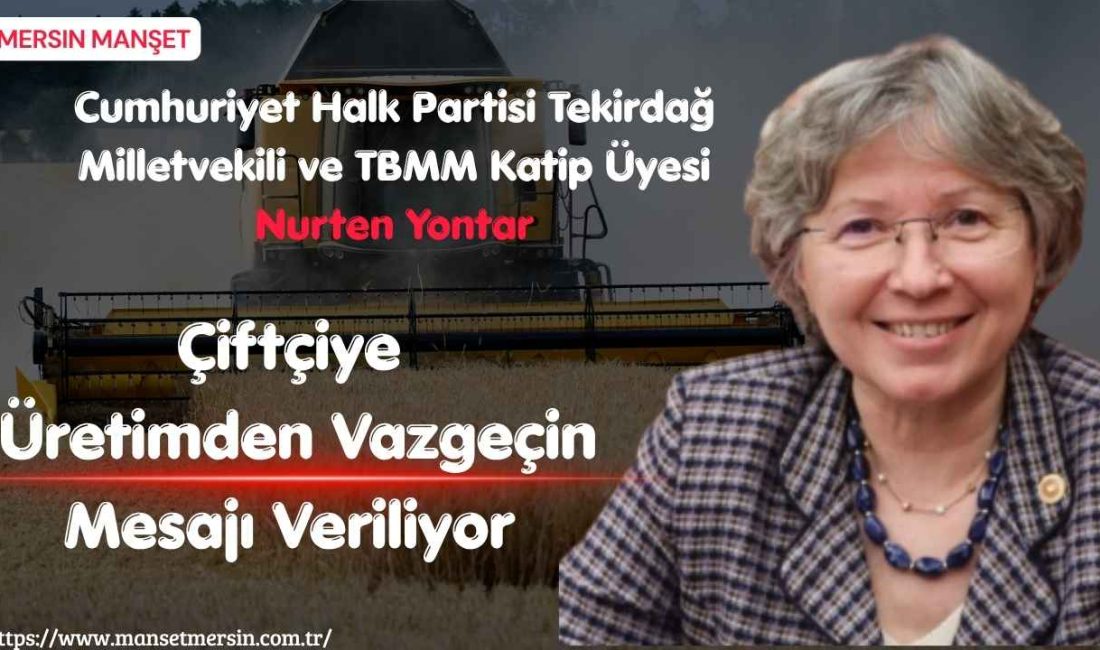 Cumhuriyet Halk Partisi Tekirdağ Milletvekili ve TBMM Katip Üyesi Nurten